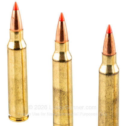Image 5 of Federal .223 Remington Ammo