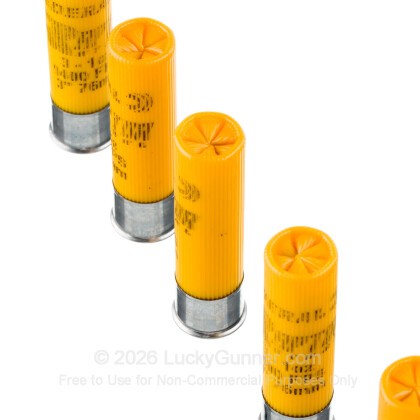 Image 5 of Federal 20 Gauge Ammo