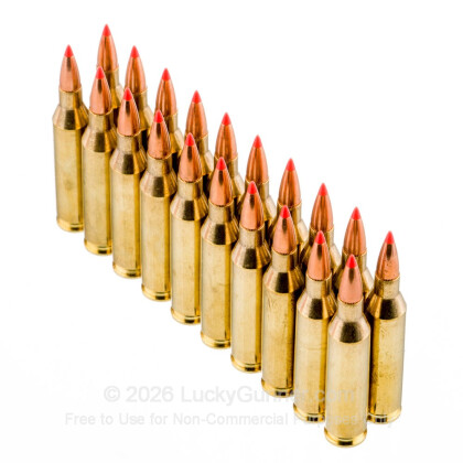 Image 4 of Hornady .243 Winchester Ammo