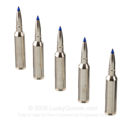 Large image of Federal 7mm PRC Ammo For Sale - 170 Grain Terminal Ascent - 20 Rounds