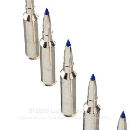 Large image of Federal 7mm PRC Ammo For Sale - 170 Grain Terminal Ascent - 20 Rounds