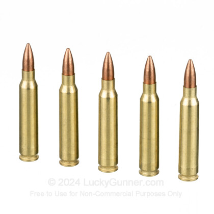 Image 4 of Golden Bear .223 Remington Ammo
