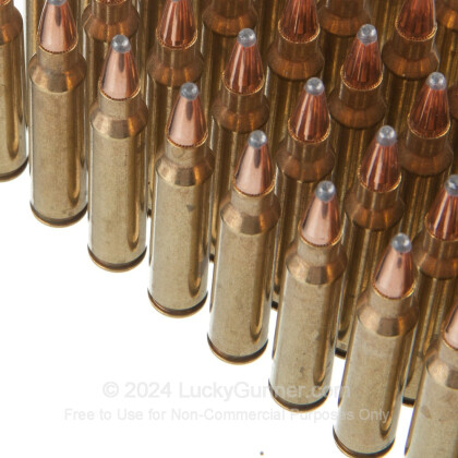 Large image of Premium 223 Rem Ammo For Sale - 60 Grain Soft Point Ammunition in Stock by Black Hills Ammunition - 50 Rounds