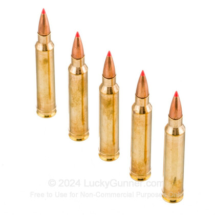 Large image of 300 Winchester Magnum Ammo For Sale - 180 gr SST - Fiocchi Ammo Online