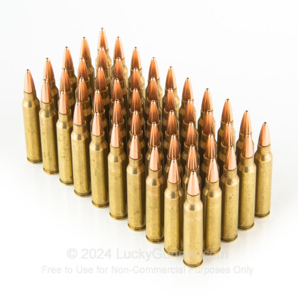 Large image of Premium 223 Remington Ammo For Sale – 75 grain JHP Ammunition in Stock by Black Hills Ammunition - 1000 Rounds