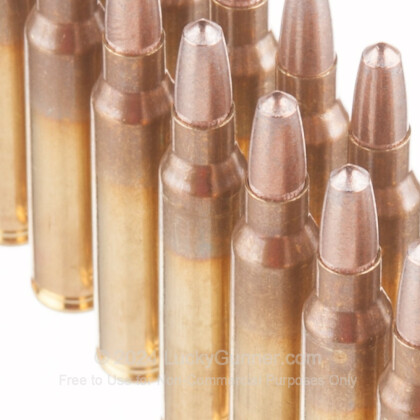 Image 5 of SinterFire .223 Remington Ammo