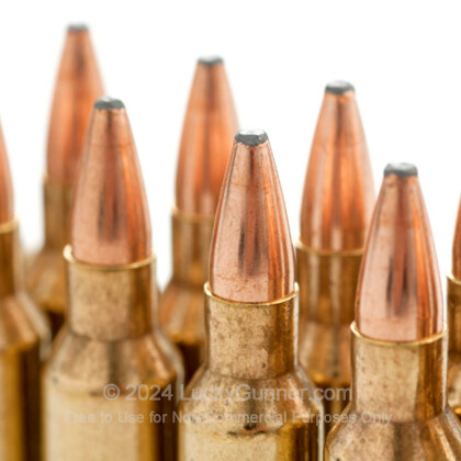 Image 10 of Hornady .204 Ruger Ammo