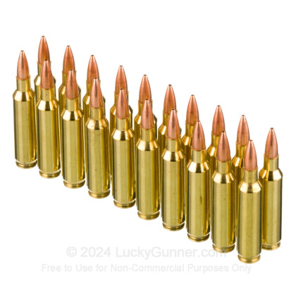 Image 4 of Nosler Ammunition 22 Nosler Ammo