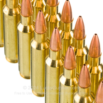 Image 5 of Nosler Ammunition 22 Nosler Ammo