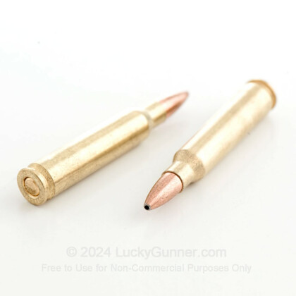 Image 9 of Golden Bear .223 Remington Ammo