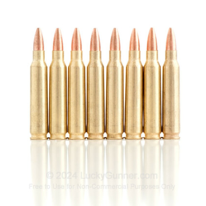 Image 2 of Golden Bear .223 Remington Ammo