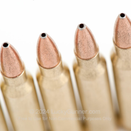 Image 7 of Golden Bear .223 Remington Ammo