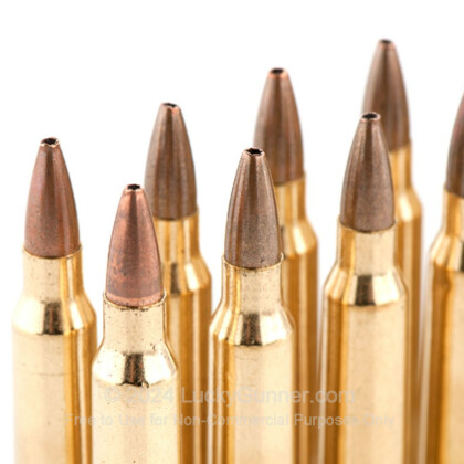 Image 10 of Winchester .223 Remington Ammo