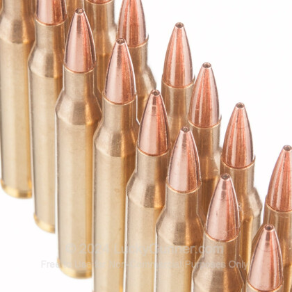 Large image of Premium 25-06 Rem Ammo For Sale - 100 Grain TSX Ammunition in Stock by Black Hills Gold - 20 Rounds