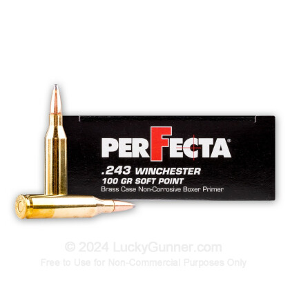 Large image of Cheap .243 Ammo For Sale - 100 Grain Soft Point Ammunition in Stock by Fiocchi Perfecta - 20 Rounds