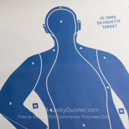 Large image of  Cheap Targets - Champion - Blue B21-E LE Paper Silhouette In Stock - 100 Targets 