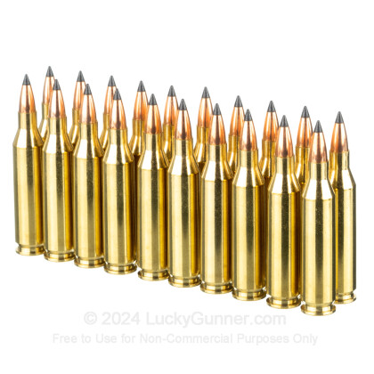 Large image of Premium 243 Ammo For Sale - 55 Grain FB Tipped Ammunition in Stock by Nosler Varmageddon - 20 Rounds