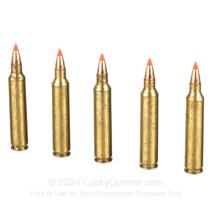 Image 4 of Federal .204 Ruger Ammo