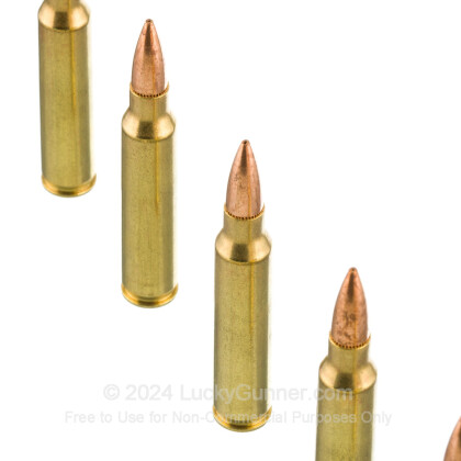 Image 5 of Federal .223 Remington Ammo