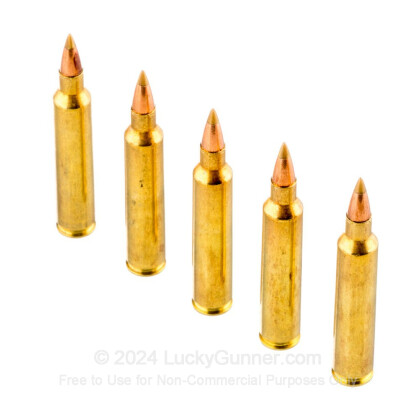 Image 4 of Remington .204 Ruger Ammo