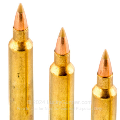Image 5 of Remington .204 Ruger Ammo