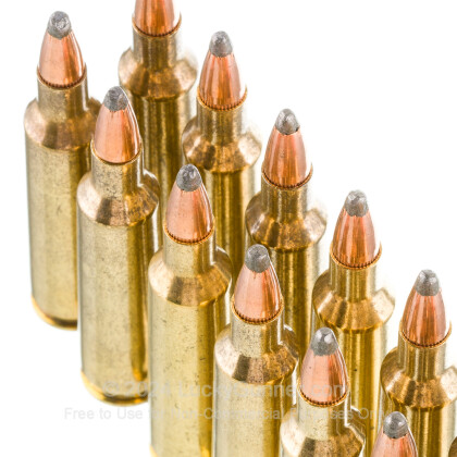 Image 5 of Winchester .22-250 Remington Ammo