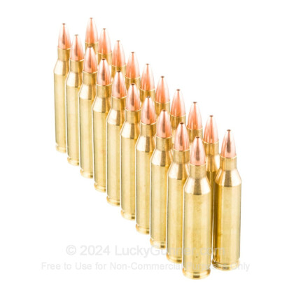 Large image of Premium 243 Win Ammo For Sale - 55 Grain FBHP Ammunition in Stock by Nosler Varageddon - 20 Rounds