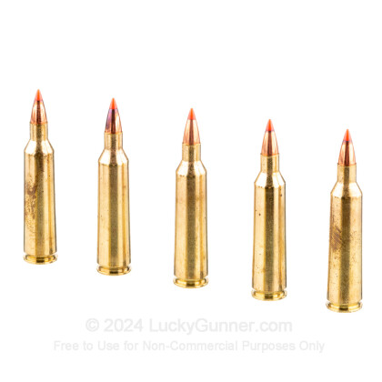 Large image of 22-250 Ammo - Fiocchi V-Max 55gr PT - 20 Rounds