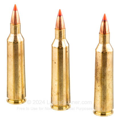 Large image of 22-250 Ammo - Fiocchi V-Max 55gr PT - 20 Rounds