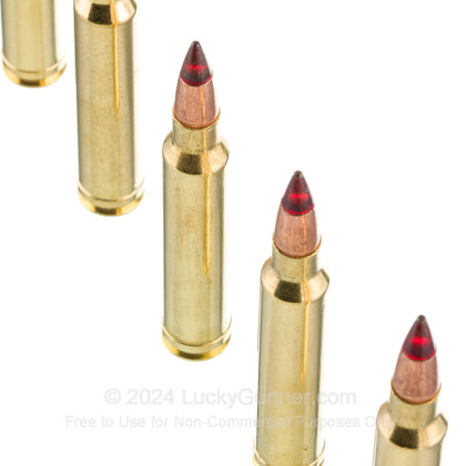 Image 5 of Winchester .300 Winchester Magnum Ammo