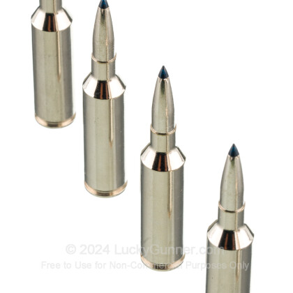 Image 5 of Federal 6.5 PRC Ammo