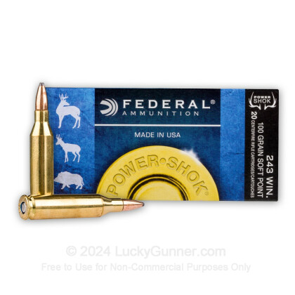 Federal .243 Win Processed, Primed Brass (Pulldown) 100/Bag - Budget  Shooter Supply