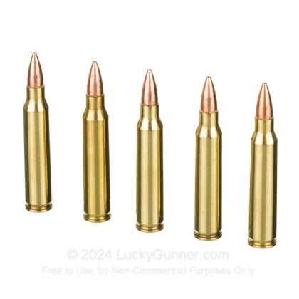 Image 4 of Federal .223 Remington Ammo