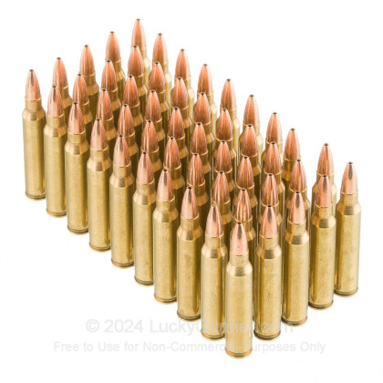 Large image of Bulk .223 Remington Ammo For Sale – 36 grain Barnes Varmint Grenade JHP Ammunition in Stock by Black Hills - 1000 Rounds