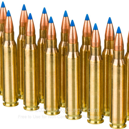 Image 5 of HSM Ammunition .223 Remington Ammo