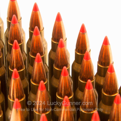 Large image of Premium 223 Rem Ammo For Sale - 50 Grain V-Max Ammunition in Stock by Black Hills Ammunition - 50 Rounds