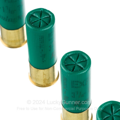 Image 5 of Remington 16 Gauge Ammo