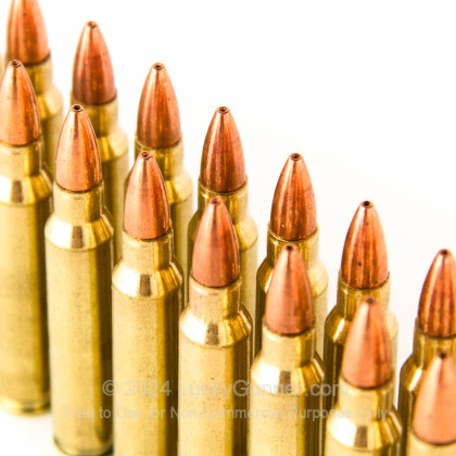 Image 5 of Ted Nugent Ammo .223 Remington Ammo