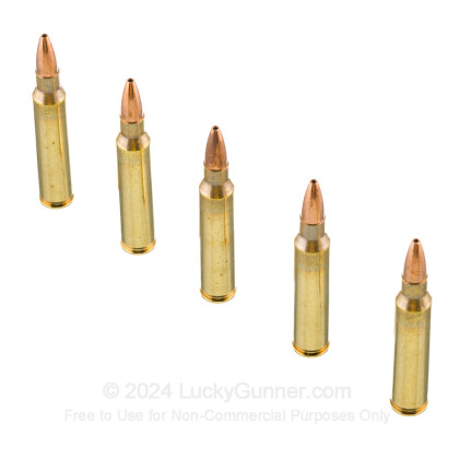 Large image of Premium 223 Rem Ammo For Sale - 50 Grain Varmint Grenade Ammunition in Stock by Fiocchi - 50 Rounds