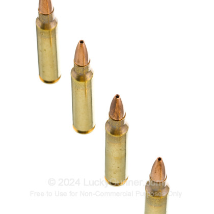 Large image of Premium 223 Rem Ammo For Sale - 50 Grain Varmint Grenade Ammunition in Stock by Fiocchi - 50 Rounds