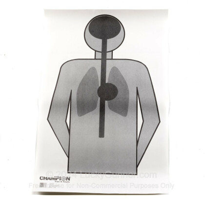 Large image of Cheap Targets - Champion - LE Paper Anatomy Silhouette In Stock - 100 Targets 