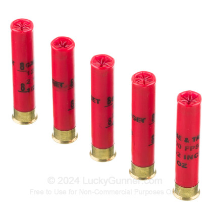 Large image of Cheap 410 Bore Ammo For Sale - 2-1/2" 1/2oz. #8 Shot Ammunition in Stock by Fiocchi  - 25 Rounds