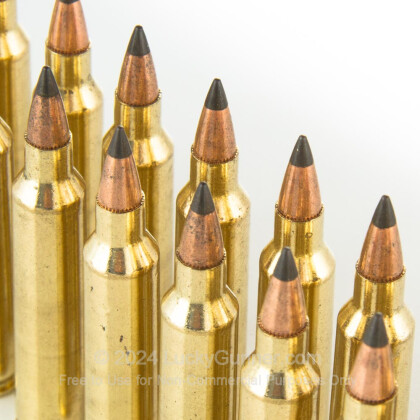 Image 5 of Winchester .204 Ruger Ammo