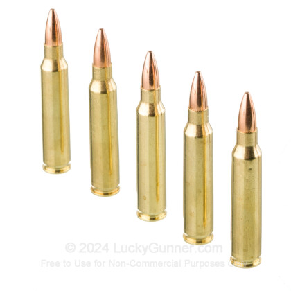 Image 4 of Dogwood .223 Remington Ammo