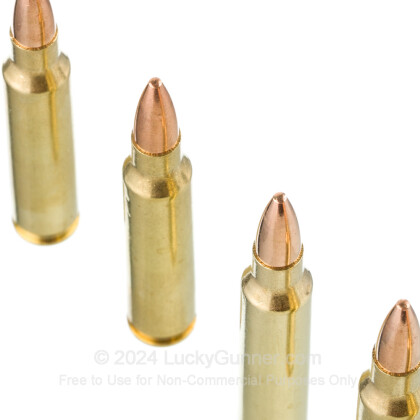 Image 5 of Dogwood .223 Remington Ammo