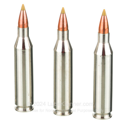 Large image of Premium 243 Ammo For Sale - 65 Grain Polymer Tip Ammunition in Stock by Browning BXV - 20 Rounds