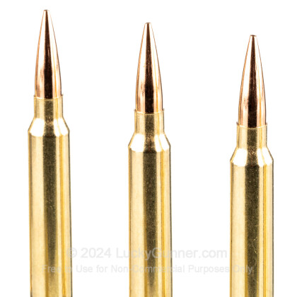 Image 5 of Federal .300 Winchester Magnum Ammo