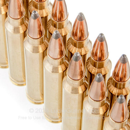 Image 5 of Nosler Ammunition .300 Winchester Magnum Ammo