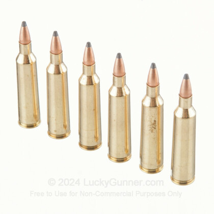 Large image of 22-250 Ammo For Sale - 55 gr PSP - Fiocchi Ammo Online