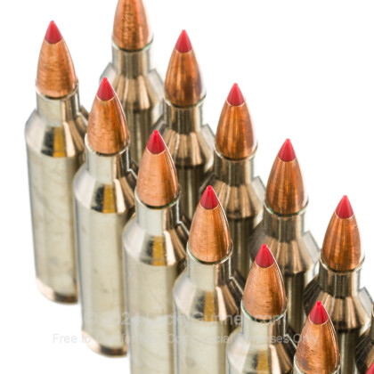 Image 5 of Hornady .243 Winchester Ammo